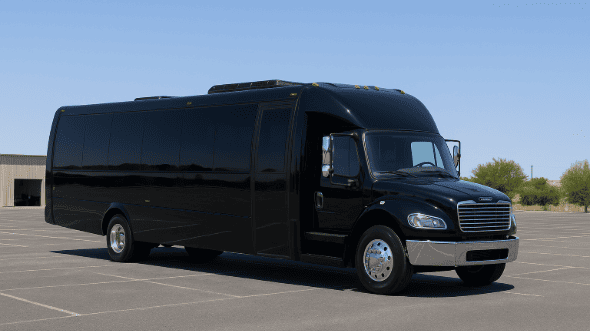 28 Passenger Limousine Bus